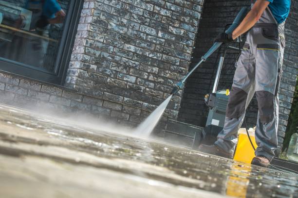 Animal Enclosure Cleaning in Waterville, OH